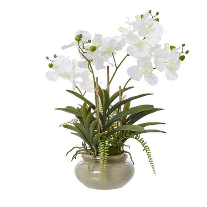 Faux White Vanda Orchid Plant In Ceramic Pot